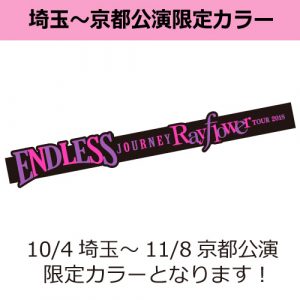 ラバーバンド（パープル）500x500