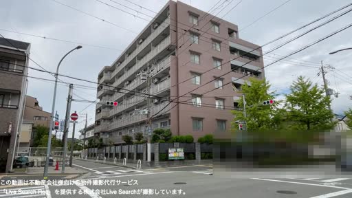 アムール芦屋 305 【兵庫県打出駅】 の外観写真