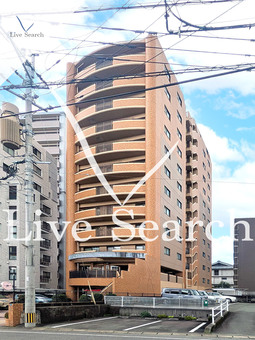 ダイアパレスグランドツイン水前寺 702 【熊本県水前寺駅】 の外観写真