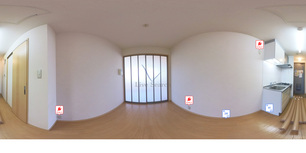 ドリーム 207 【大阪府JR関西本線 平野駅】 の外観写真