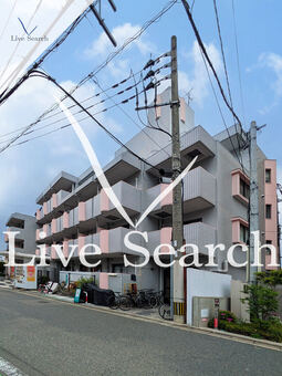 メゾン・ド・セリーズ 313 【福岡県大橋駅】 の外観写真