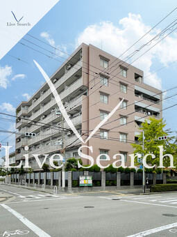 アムール芦屋 305 【兵庫県打出駅】 の外観写真