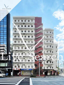 ルックハイツ 505 【東京都雑司が谷駅】 の外観写真