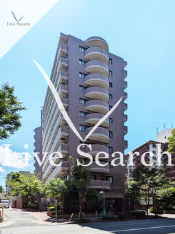 ダイアパレス赤坂けやき通り 805 【福岡県地下鉄空港線　赤坂駅】 の外観写真