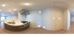 シェーンヴィラ　カエデ 301 【千葉県柏】 の外観写真