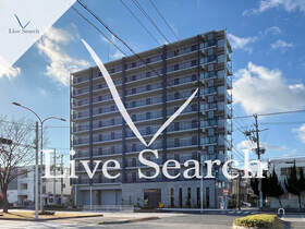 Alivis堺浜寺 704 【大阪府石津川駅】 の外観写真