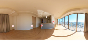 阿波座ライズタワーズフラッグ46 3005 【大阪府阿波座駅】 の外観写真