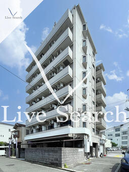 シティハイツピコ 303 【大阪府下新庄】 の外観写真