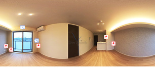 シリウス 303 【埼玉県所沢駅】 の外観写真