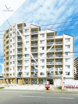 クラシオン箱崎松原 902 【福岡県箱崎九大前駅】 の外観写真