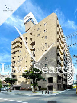 パルシオ三宮フラワーロード 501 【兵庫県JR神戸線　三ノ宮】 の外観写真