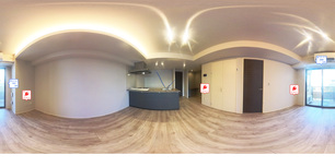 ラリュール 502 【神奈川県川崎駅】 の外観写真