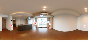 ラリュール 604 【神奈川県川崎駅】 の外観写真