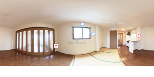 リヴェール 308 【大阪府大阪メトロ谷町線　平野駅】 の外観写真