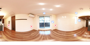 カローレ　デル　ソーレ 302 【神奈川県武蔵小杉駅】 の外観写真