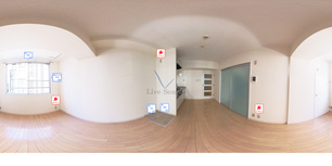 ハイフォレストⅡ 233 【大阪府西大橋駅】 の外観写真