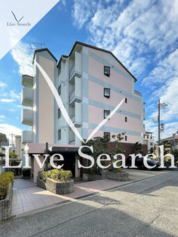 プラスワン芦屋 203 【兵庫県阪神本線「芦屋」駅】 の外観写真