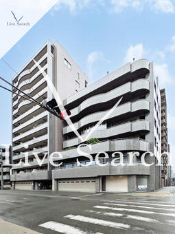 ニットーハイツ 801 【大阪府桜川】 の外観写真