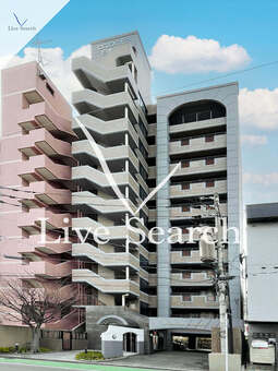 ロマネスク日赤通り 203 【福岡県平尾駅】 の外観写真