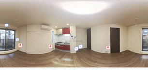 フォレナ 301 【神奈川県平塚駅】 の外観写真