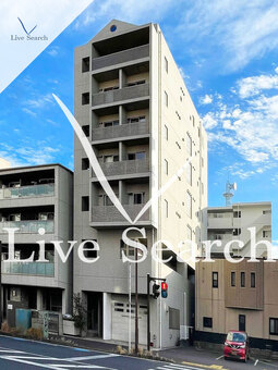 Delfino 2C 【神奈川県JR川崎駅】 の外観写真