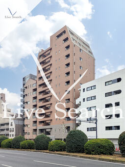 パレステュディオシンシア文京千石 702 【東京都千石駅】 の外観写真