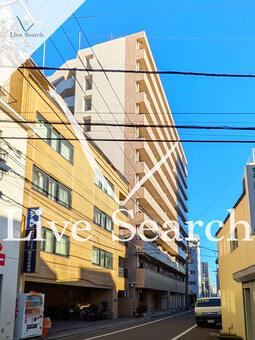 ベルパレス 203 【東京都入谷】 の外観写真