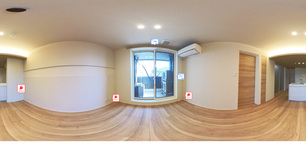 THE SENSE 203 【東京都扇大橋駅】 の外観写真