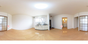 中之島ハイツ 1d 【大阪府上新庄駅　徒歩10分】 の外観写真