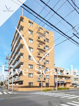 ダイアパレス西新井大師 102 【東京都大師前駅】 の間取り図