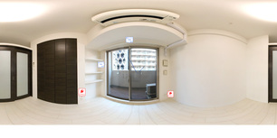 レオンコンフォート本町東Ⅱ 805 【大阪府堺筋本町】 の間取り図