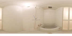 フォーチュンテラス 303 【神奈川県JR川崎駅】 の間取り図