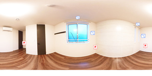 カローレ　デル　ソーレ 303 【神奈川県武蔵小杉駅】 の間取り図