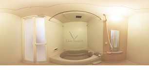 シュライン日進 301 【埼玉県川越線　日進駅　徒歩9分】 の間取り図