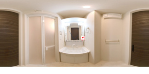 ラ・フェリーチェ 107 【千葉県五井駅・姉ヶ崎駅】 の間取り図