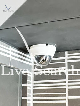 ベルグレードYS 902 【神奈川県吉野町駅】 の間取り図