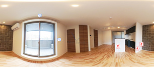 シャーメゾン新屋敷プレミアム 301 【熊本県熊本市健軍線 九品寺交差点駅 徒歩11分】 の間取り図