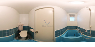 Phoenix平尾南 302 【福岡県西鉄平尾駅】 の間取り図