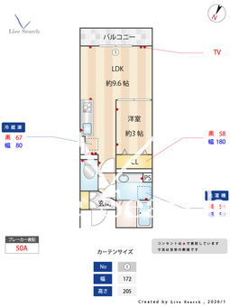 SolanaⅡ 305 【埼玉県埼玉新都市交通　鉄道博物館（大成）駅　徒歩2分】 の間取り図