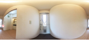 パフィオニッシン 105 【埼玉県川越線　日進駅　徒歩10分】 の画像3