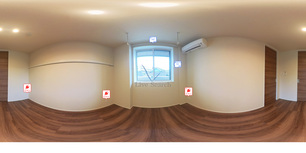 アスターミキ 201 【神奈川県向ヶ丘遊園】 の画像3