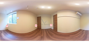 アスターミキ 208 【神奈川県向ヶ丘遊園】 の画像3