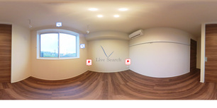 アスターミキ 302 【神奈川県向ヶ丘遊園】 の画像3