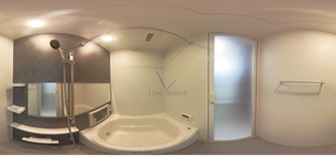 D-Imparable 301 【栃木県宇都宮芳賀ライト線　東宿郷駅】 の画像3