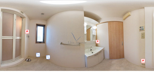 クローバー 301 【兵庫県阪急電鉄阪急神戸線 武庫之荘駅】 の画像3