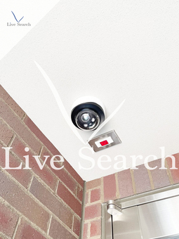 ディアマン ベル 204 【東京都JR青梅線　中神駅】 の画像3