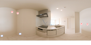 ルモンオⅢ 301 【埼玉県西大宮】 の画像3