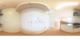 グレイスヴィラ　参番館  303 【埼玉県川越線　西大宮駅　徒歩12分】 の画像3