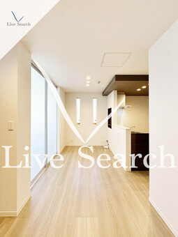 ラムール・ド・センケイⅡ 206 【神奈川県新川崎駅】 の画像3