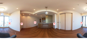 白金ザ・スカイ東棟 3319 【東京都白金高輪駅】 の画像3